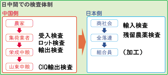 日中間での検査体制